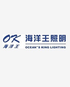 深圳市海洋王照明工程有限公司